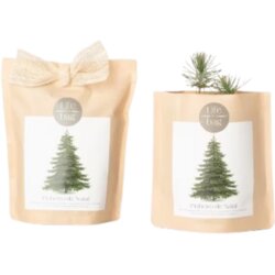 Life in a bag Grow Bag "Božično drevesce" - 1 k. Cene