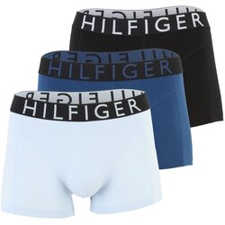 Tommy Hilfiger Underwear Boksarice pastelno modra / temno modra / črna / bela Cene