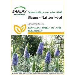 Saflax Moder - navadni gadovec Cene