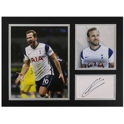 Harry Kane Signed 16"x12" Photo Display Tottenham Spurs Autograph Memorabilia COA Cene
