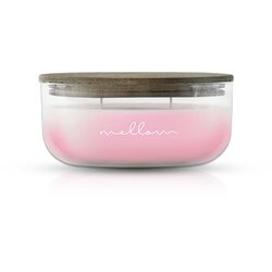 Mellow mirisna svijeća rosie 240g Cene