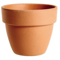Degrea saksija 16 cm classica palladio terracotta de 17160 Cene