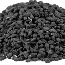 Rinfuz Cni kim seme, kumin, ćurekot (Nigella sativa) 100g Cene