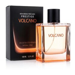 New Brand Parfums Prestige Volcano 100 ml toaletna voda za moške Cene
