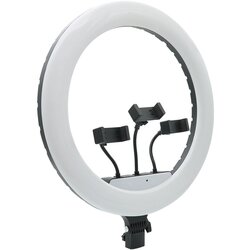  Selfie ring light portable 45cm MJ45 Cene