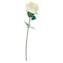 Ruža 51CM BIJELA PVC 80035 Cene
