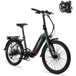 FLEBI Električno mestno kolo Swan 24" sivo | 70 km dosega - baterija 10,4 Ah, (22118445) Cene