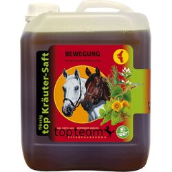 Topteam top - Zeliščni sok za gibanje Cene