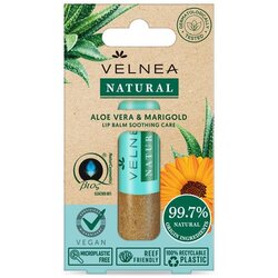 Velnea natural lip balm aloje vera i neven 5,5ml Cene