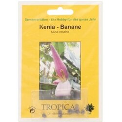 TROPICA Kenijska banana Cene