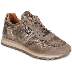 Cetti C848 Gold Cene