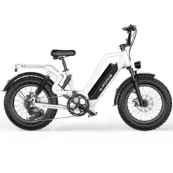 GForce RS ST Premium električno kolo, 48V 25Ah odstranljiva baterija, bela, (5000255717) Cene
