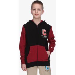 Champion Dukserica Hooded Sweatshirt Cene