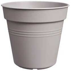 Green basics lonec za rastline "lila" - 17 cm Cene