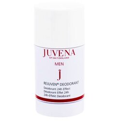 Juvena Rejuven® Men 24h deodorant v stiku brez aluminija 75 ml za moške Cene