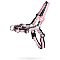 Dashi Front Harness Stripes Pink-Black S Cene