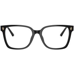 Jimmy_Choo Naočare JC 3038D 5000 Cene