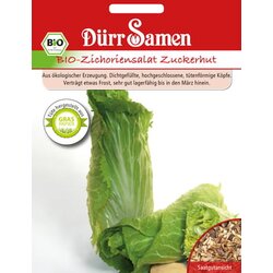 Dürr Samen BIO cikorija Cene
