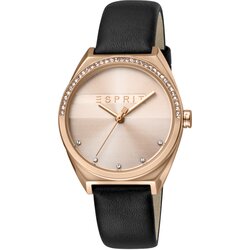 Esprit ženska ročna ura ES1L057L0035 Cene