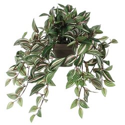 Mica Decorations Umetna rastlina Tradescantia (Višina: 45 cm, Plastika) Cene