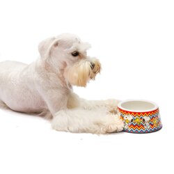 ZOOZ PETS snoopy činija mosc melamin l 1070ml Cene