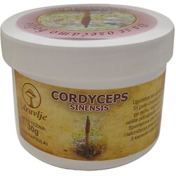 Zdravlje Cordyceps sinensis gljiva EP, 100cps Cene