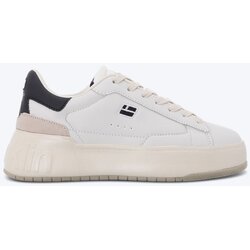 D.Franklin patike court basket basic u DFSH321085-WHIT Cene