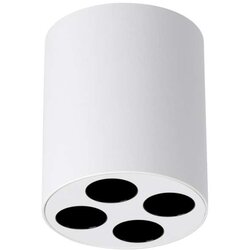  Stropna svetilka ZOE bela LED, (21347863) Cene