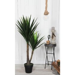 MICA JUKA V ZELENEM LONCU- H120XD60CM Cene