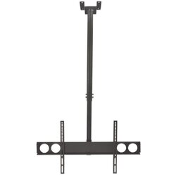 Manhattan stropni nosilec za tv (37''-70'') Cene