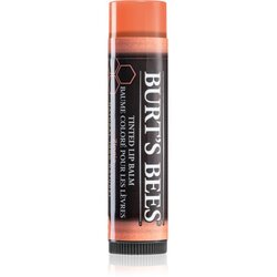 Burt’s Bees Tinted Lip Balm balzam za ustnice odtenek Zinnia 4.25 g Cene
