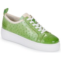Melvin & Hamilton AMBER 6 Zelena Cene