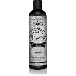 Gordon šampon za muškarce 250 ml Cene