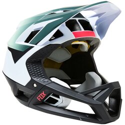 Fox Proframe Graphic 2 bicycle helmet Cene