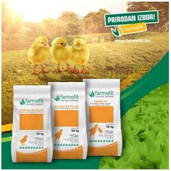 Starter za piliće 10/1 Farmofit Cene