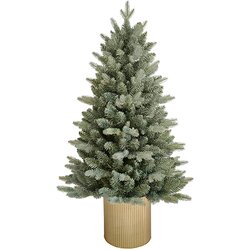  Novogodišnja jelka u saksiji 45 cm 201011 Cene
