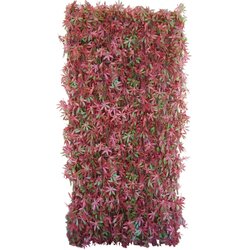 Tenax sintetična živa meja divy 3D x-tens red acer 1 m x 2 m rdeče-zelena Cene