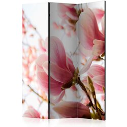 Artgeist Paravan Pink Magnolia, 3-Delni, Dvostranski Cene