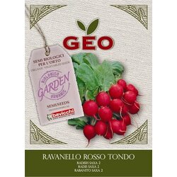 Bavicchi Ekološka redkev Cene
