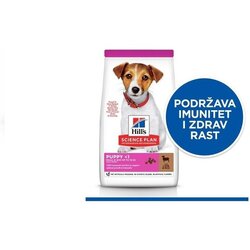 Hills_Science_Plan hills science plan hrana za pse small & mini puppy jagnjetin Cene