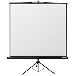 Reflecta Tripod platno CrystalLine 240x240cm Cene