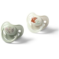 BabyOno Take Care Anatomical Silicone Soothers duda Day & Night 6-18m 2 kos Cene