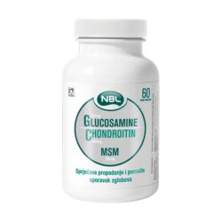 Nobel NBL Glucosamine Chondroitin MSM Cene