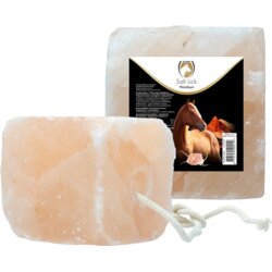 Excellent Horse Salt Lick Himalaya (z vrvjo) - 2 - 3 kg Cene