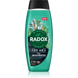 RADOX Feel Invigorated gel za tuširanje za muškarce 2 u 1 450 ml Cene