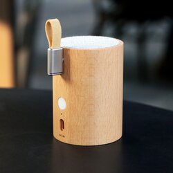 Gingko zvočnik Bluetooth iz bukovega lesa Drum Cene