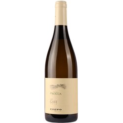 Coppo la rocca gavi Cene