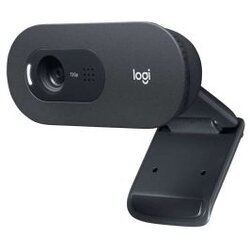  WEB camera LOGITECH C505E 960-001372 Cijene