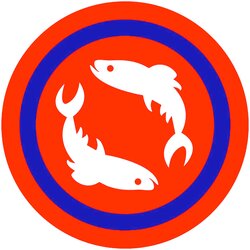 Frogies Men's boxers Zodiac Ribi Cene