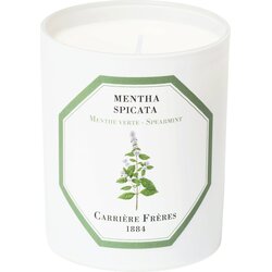 Carrière Frères Scented Candle Spearmint - 185 g Cene